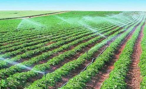 在线看骚b农田高 效节水灌溉